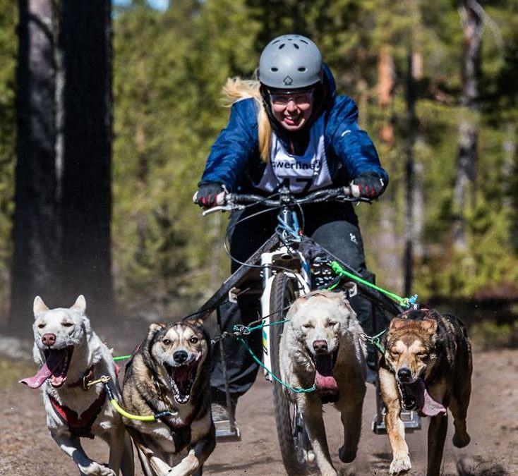 Spring time race Jämijärvi