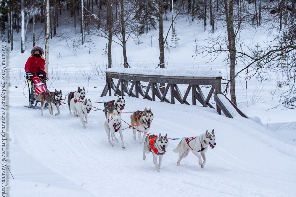 Mid distance race