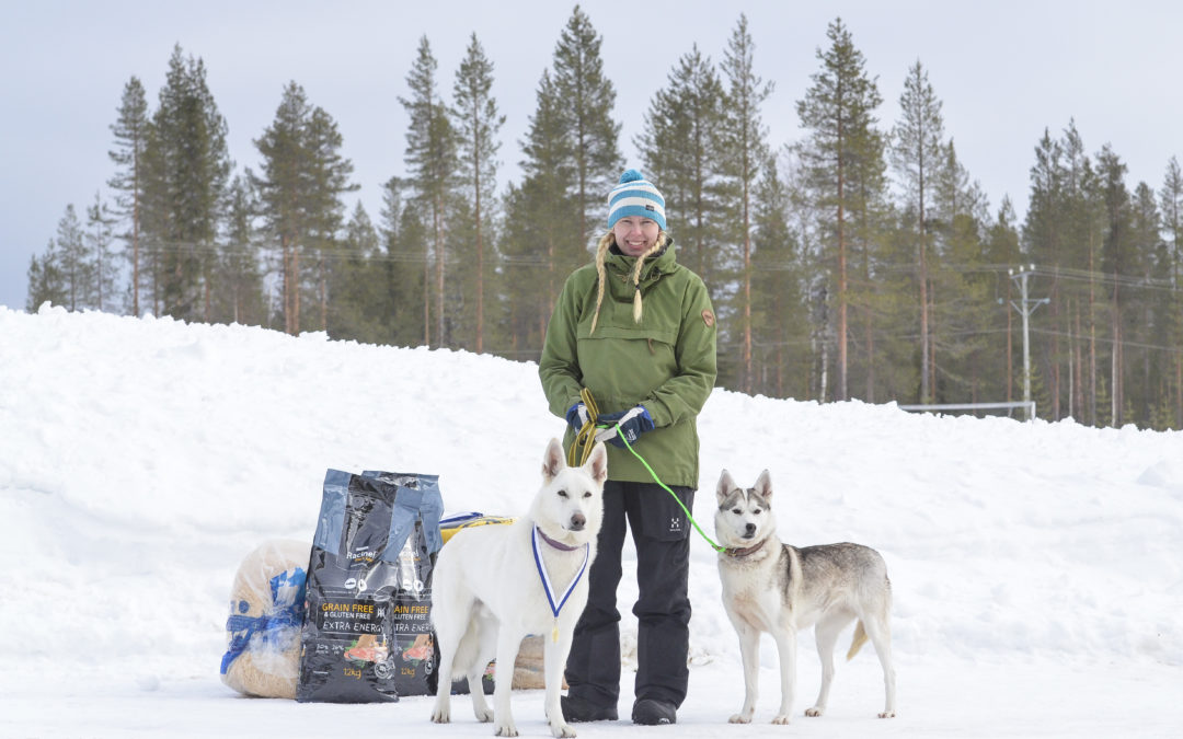 SM-REKÄ-JOH-19 & REKÄ käyttökoe